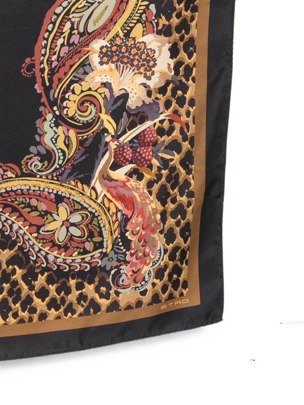 Etro Scarfs