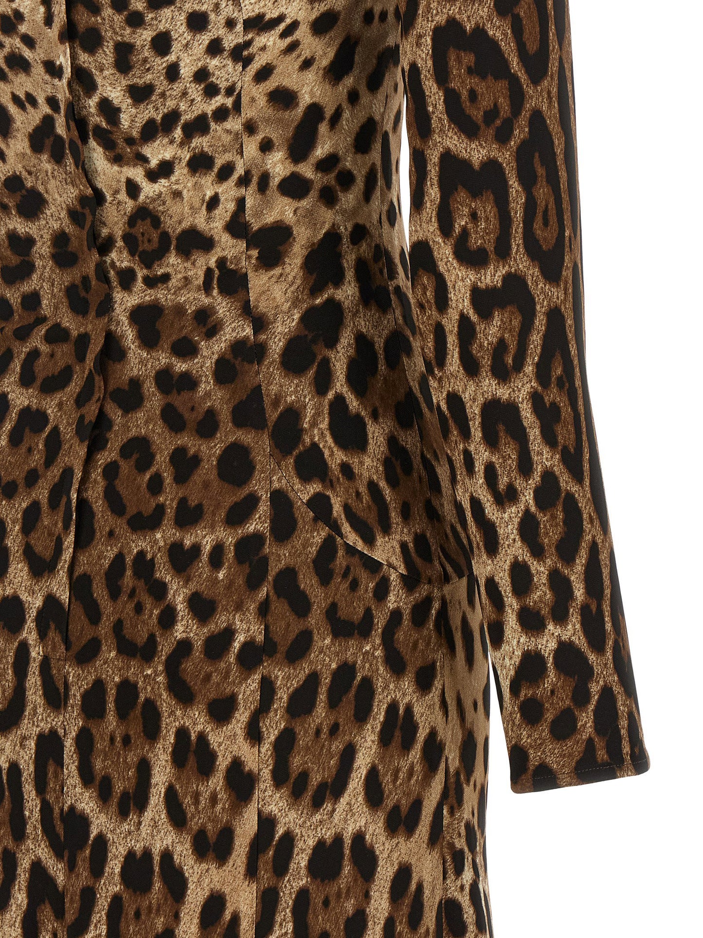 Dolce & Gabbana Animal Print Dress