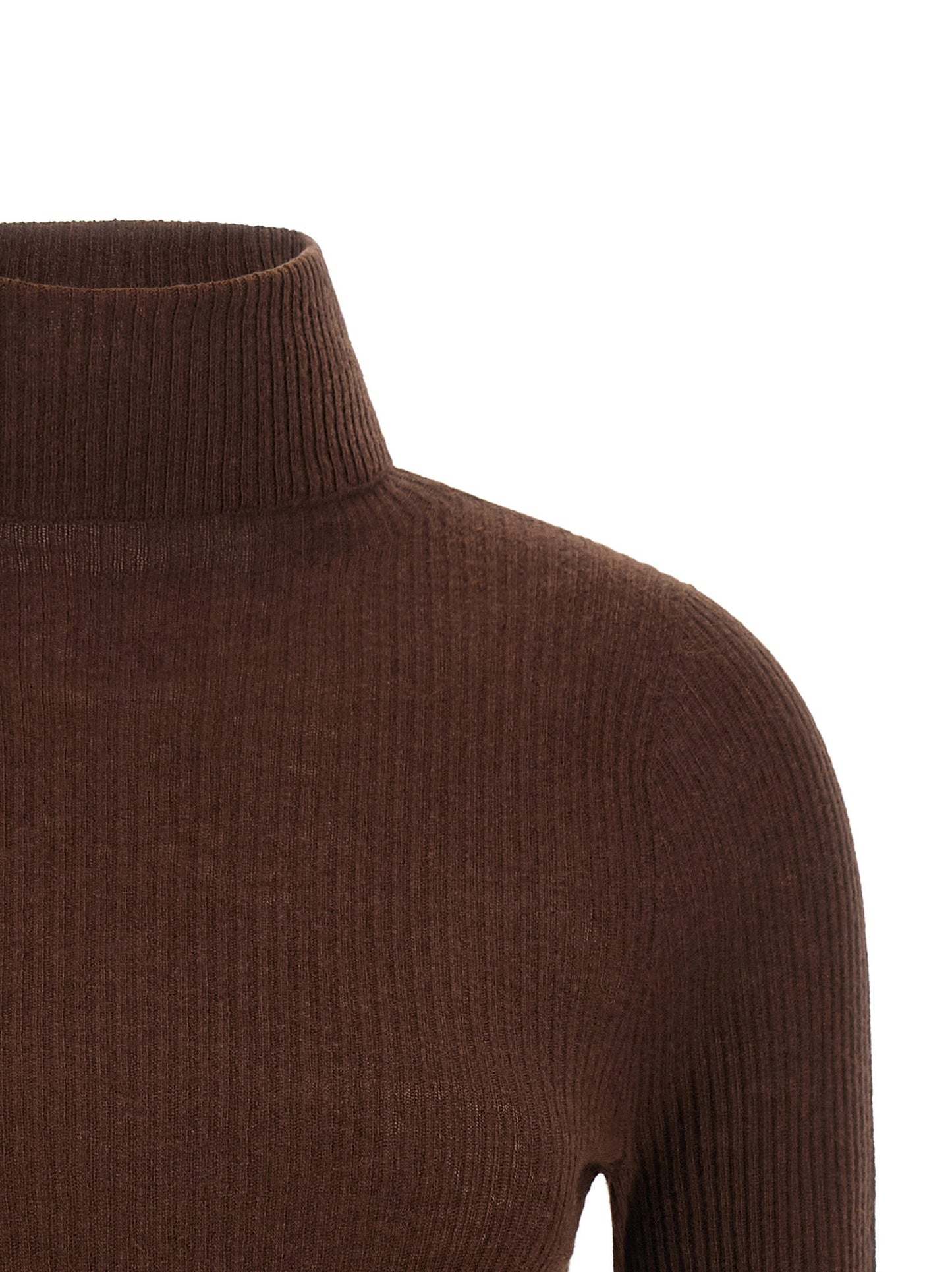 Fabiana Filippi Ribbed Turtleneck Sweater
