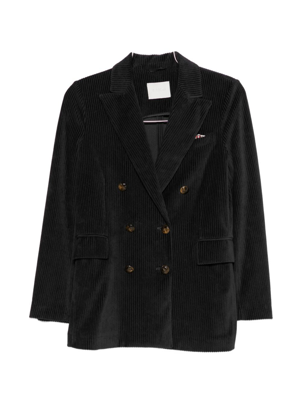 CIRCOLO 1901 Jackets NAVY