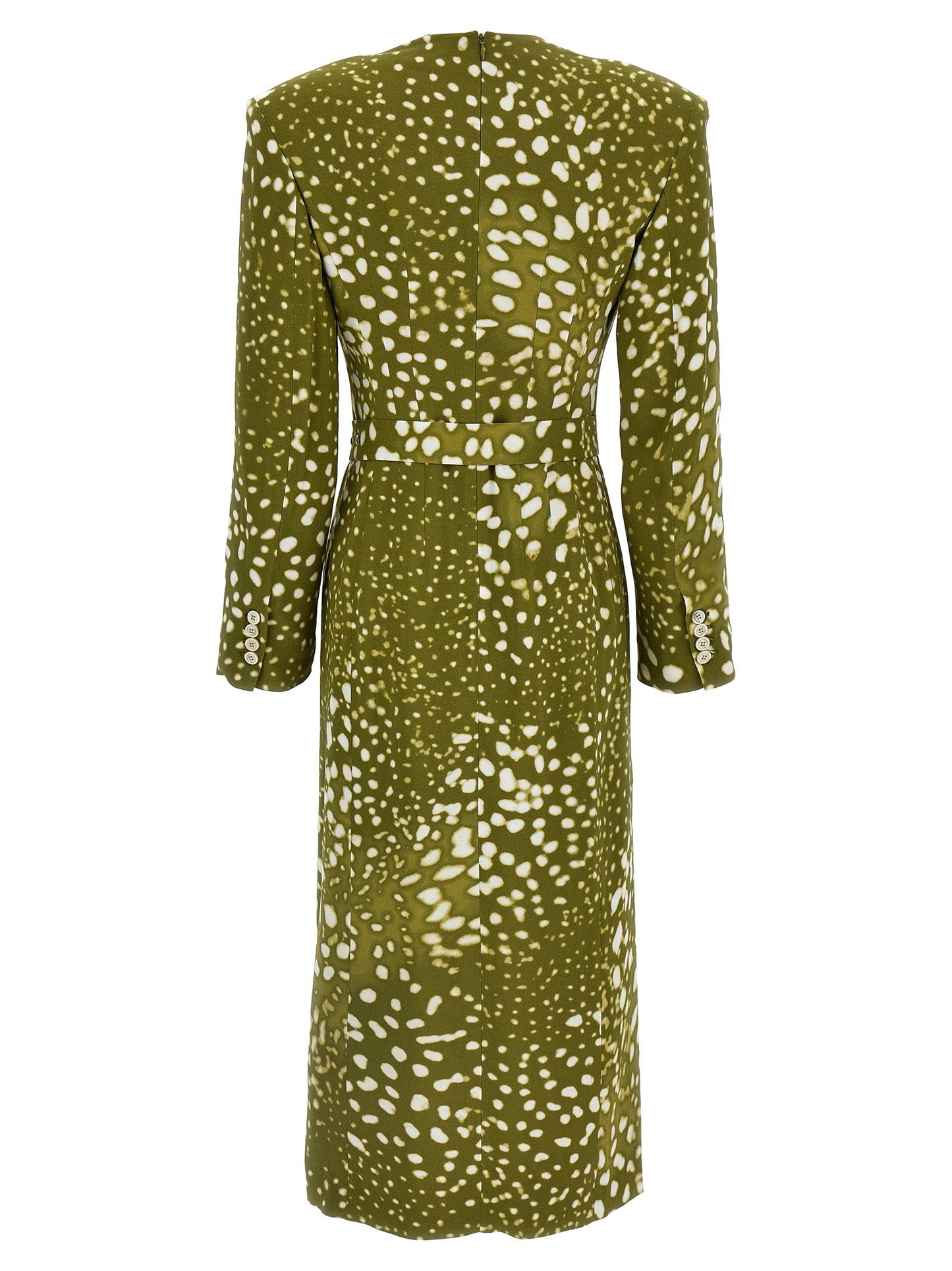 Dries Van Noten Dohana Dress