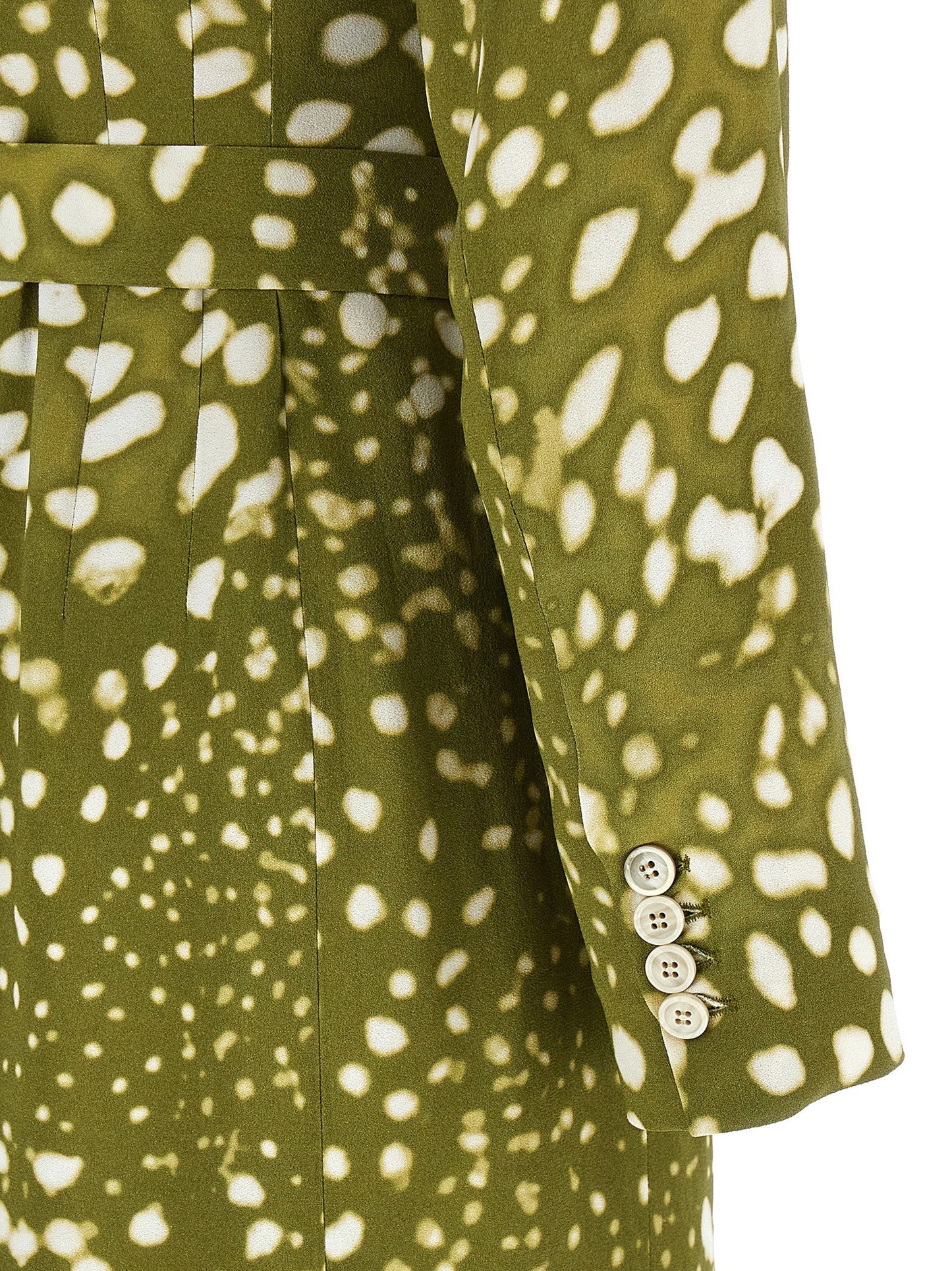 Dries Van Noten Dohana Dress