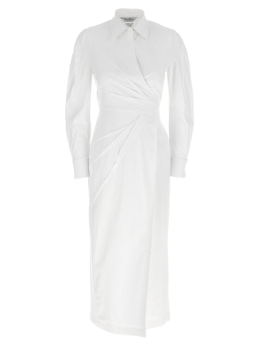 Max Mara Balzac Dress