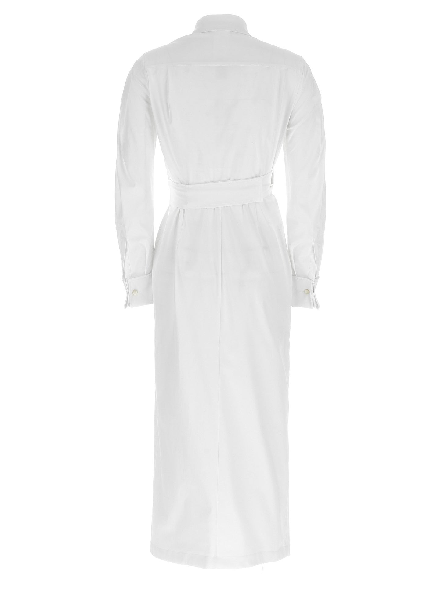 Max Mara Balzac Dress