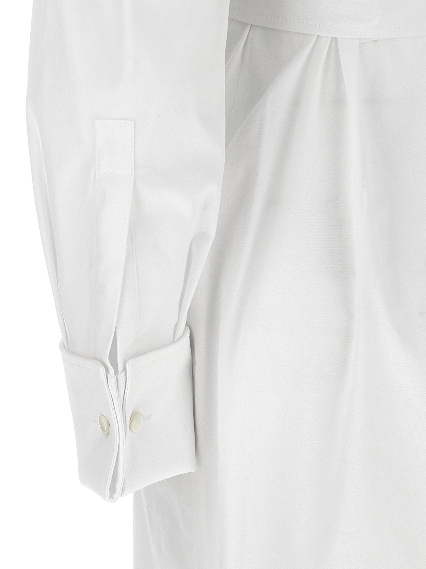 Max Mara Balzac Dress