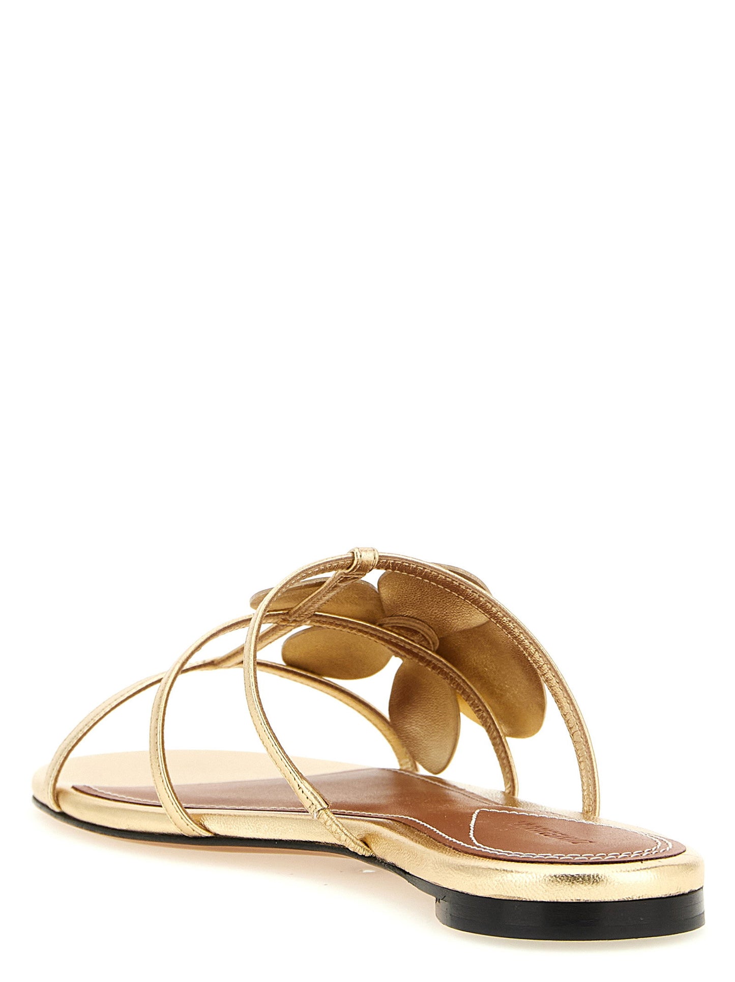 Zimmermann Orchid Slides
