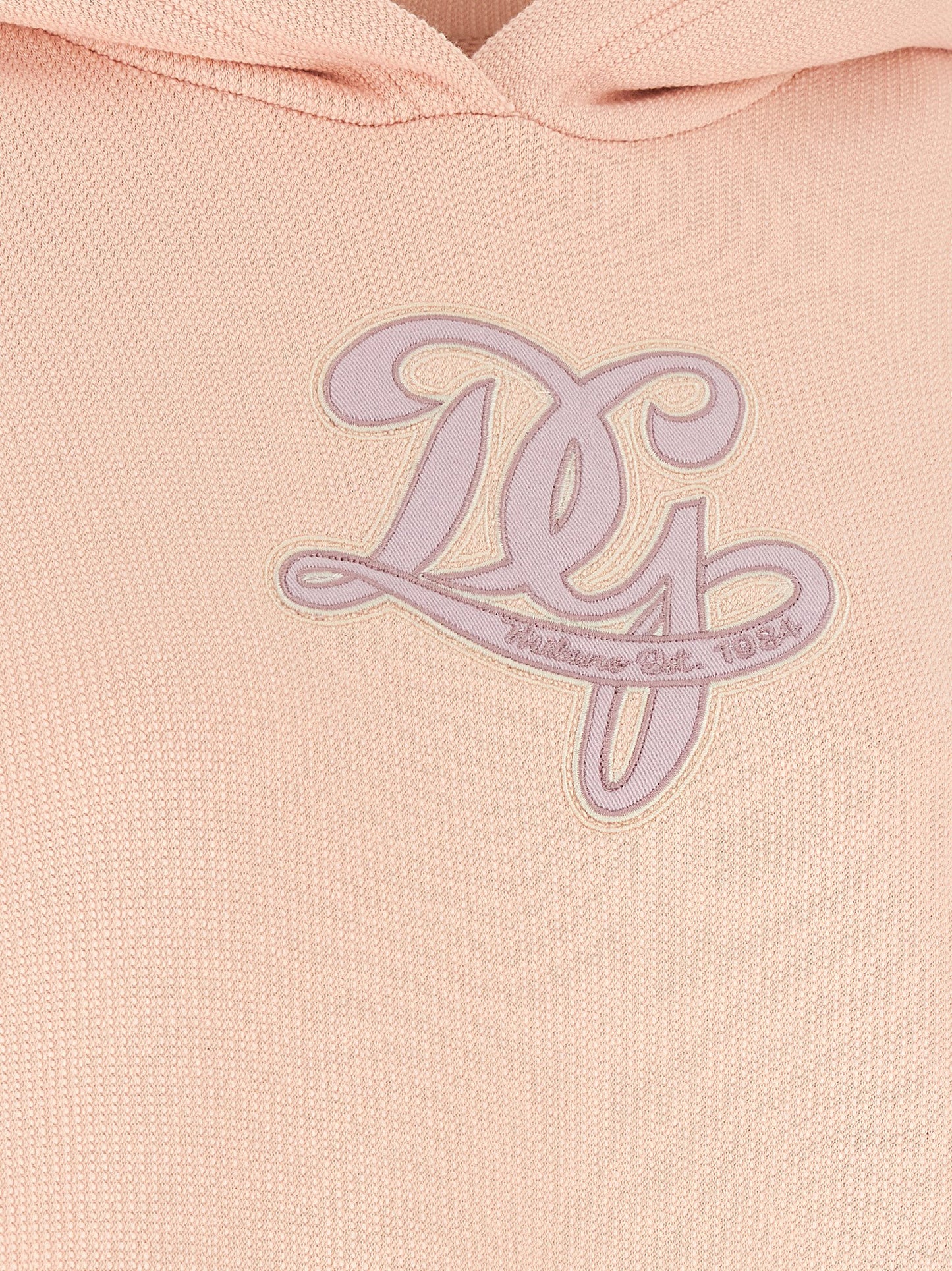 Dolce & Gabbana Logo Embroidery Hoodie