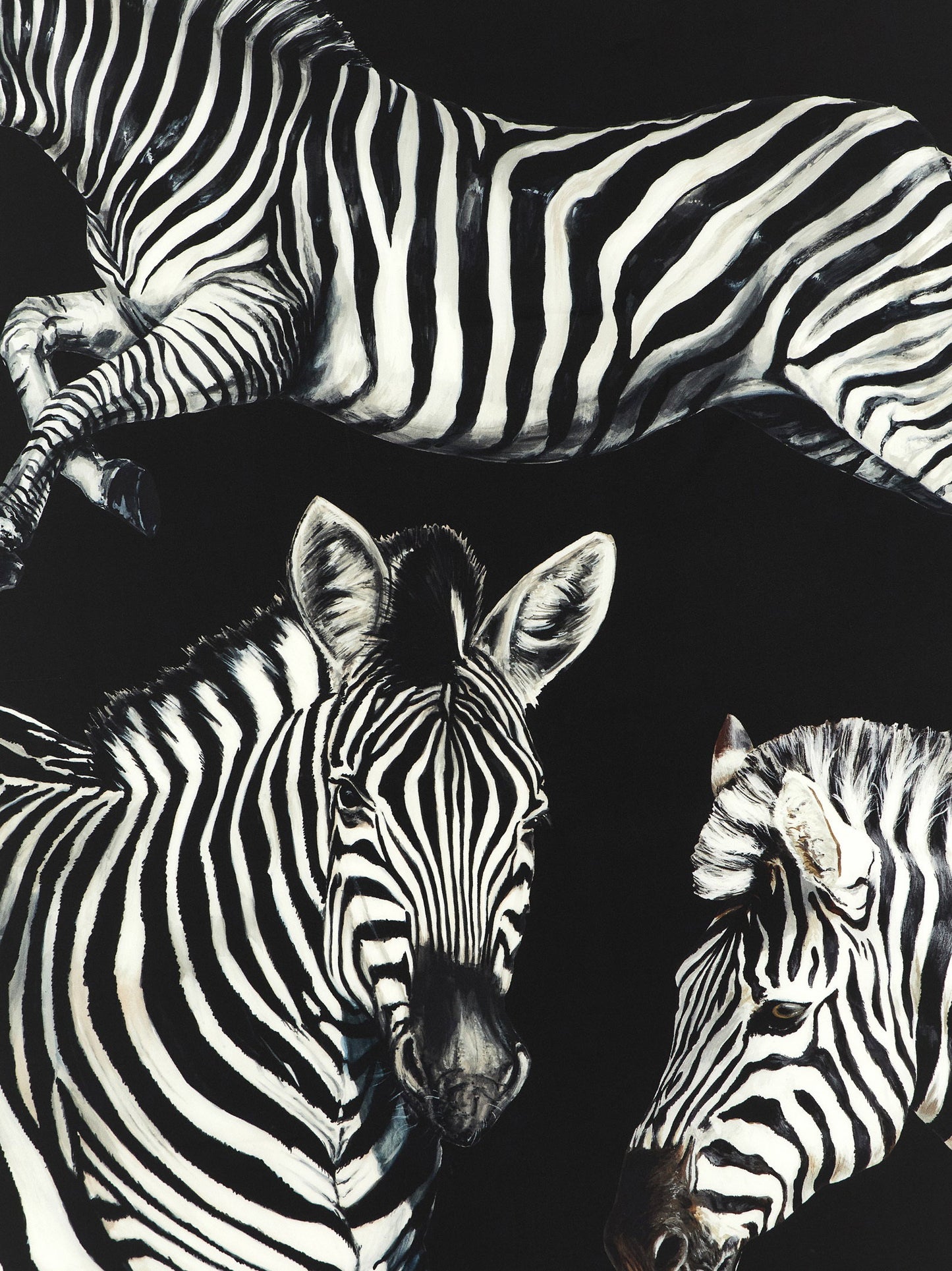 Dolce & Gabbana Zebra Print Scarf