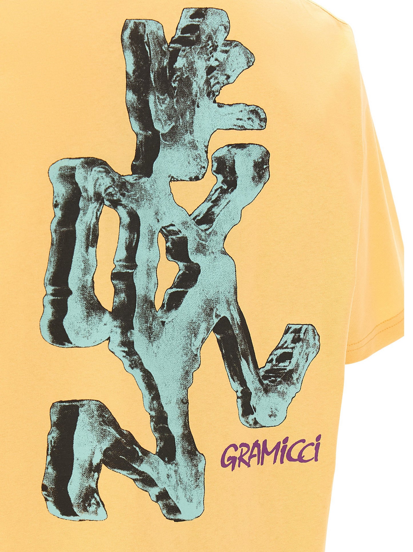 Gramicci Ice Sculpture T-shirt