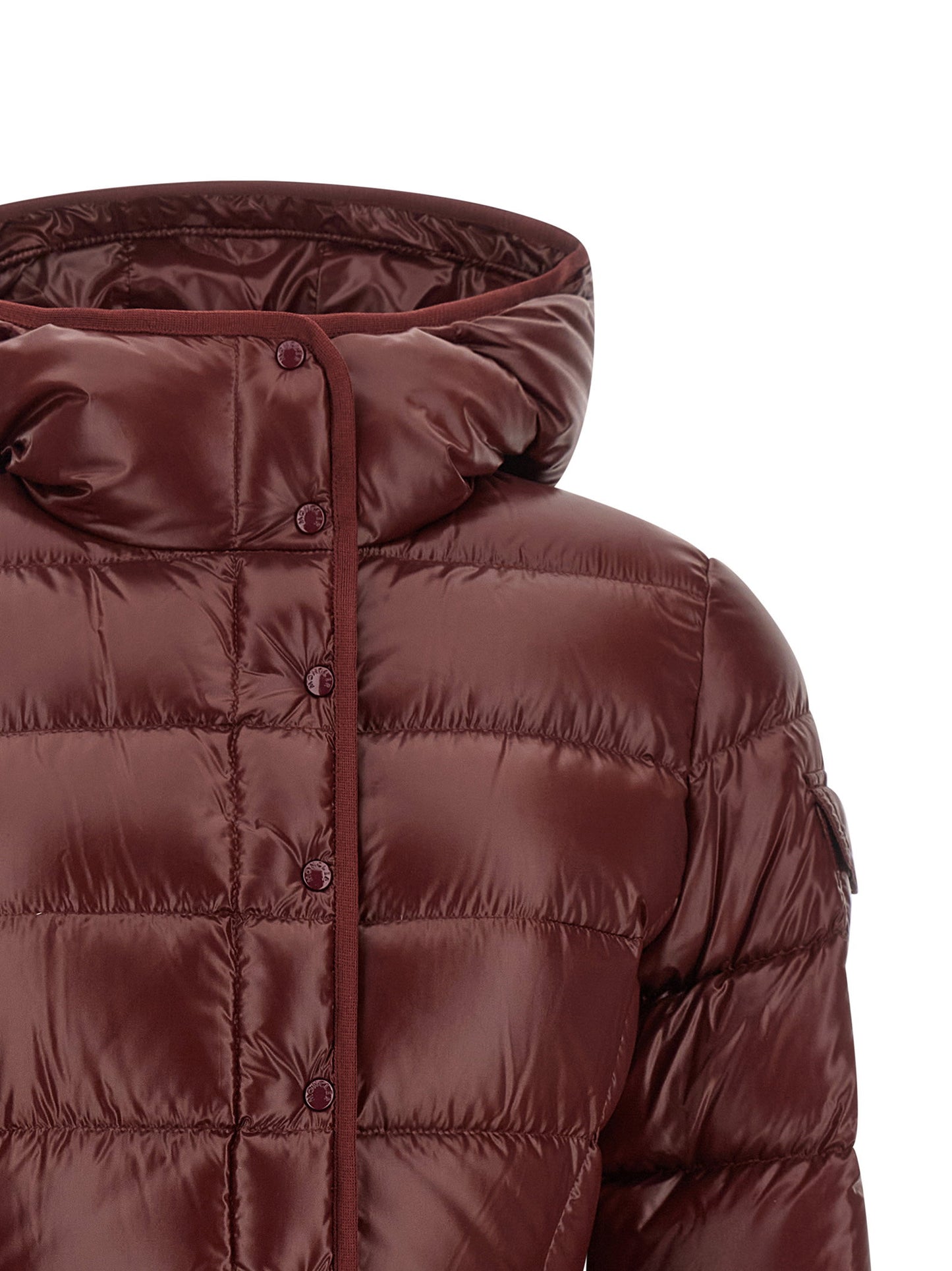 Moncler Barante Down Jacket