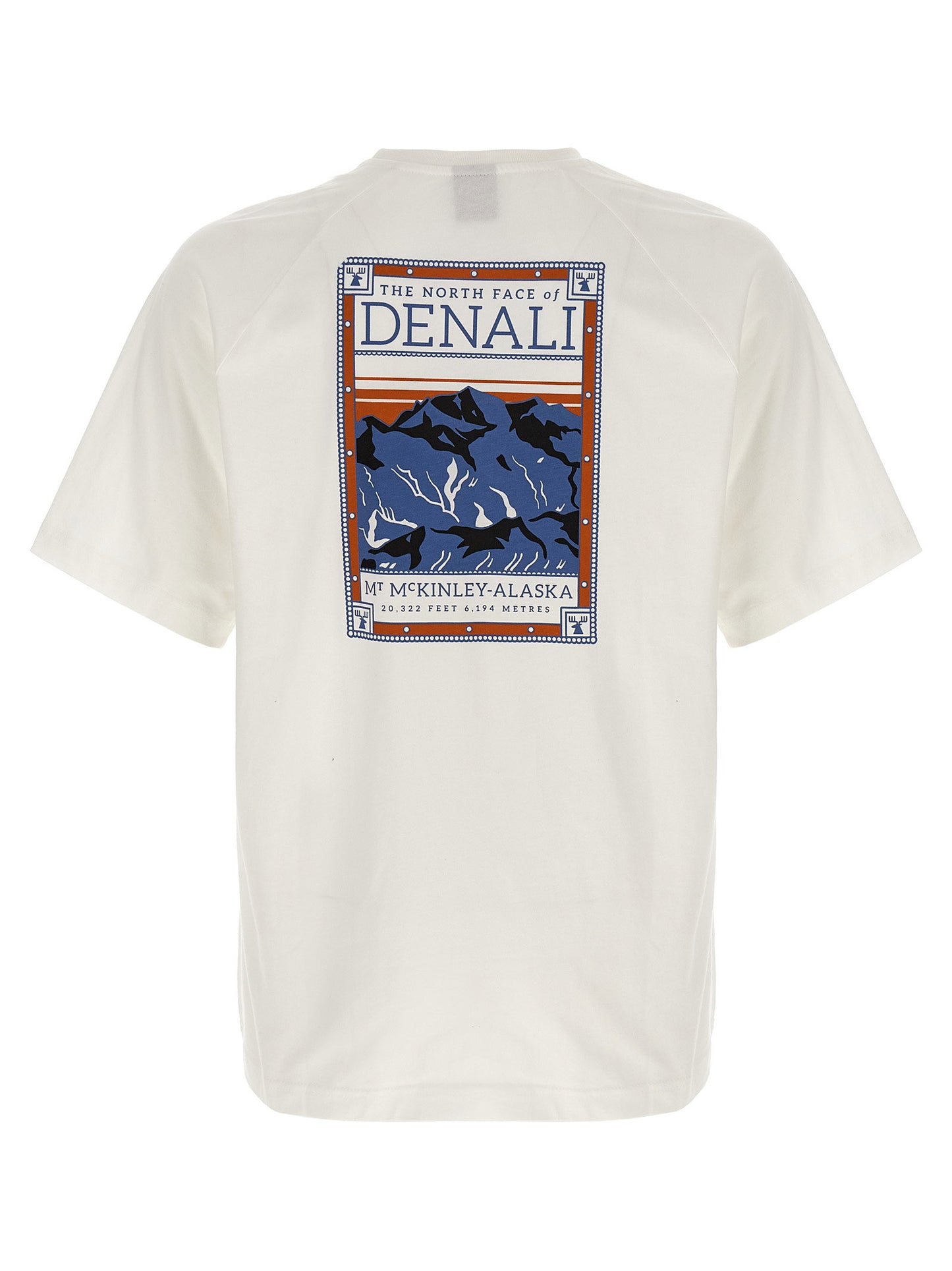 The North Face North Faces T-shirt