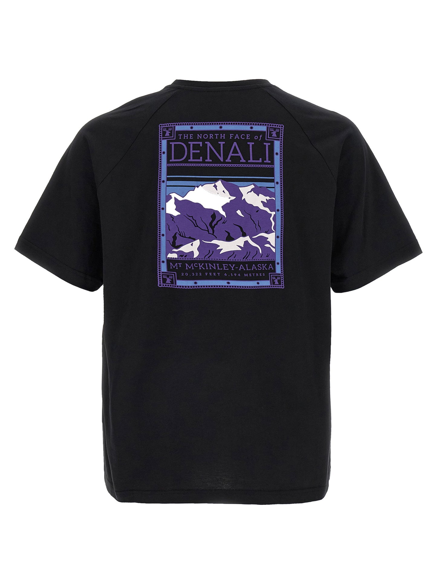 The North Face North Faces T-shirt