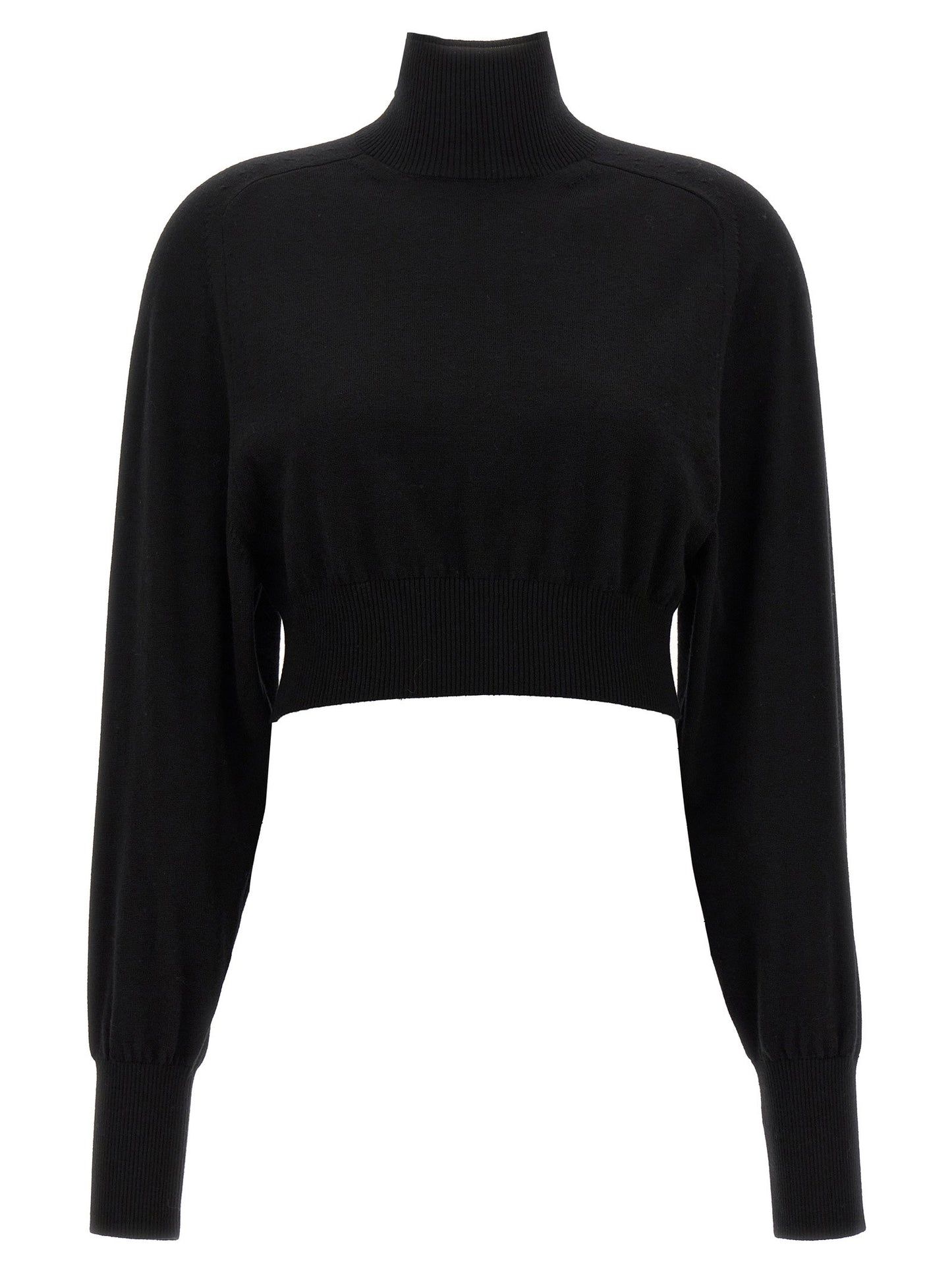 Sportmax Ululato Turtleneck Sweater